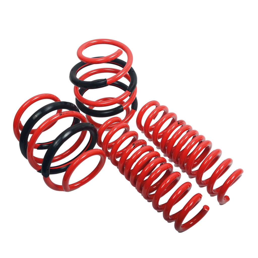AST Suspension Ford Mondeo V Lowering Springs